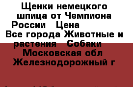 Щенки немецкого шпица от Чемпиона России › Цена ­ 50 000 - Все города Животные и растения » Собаки   . Московская обл.,Железнодорожный г.